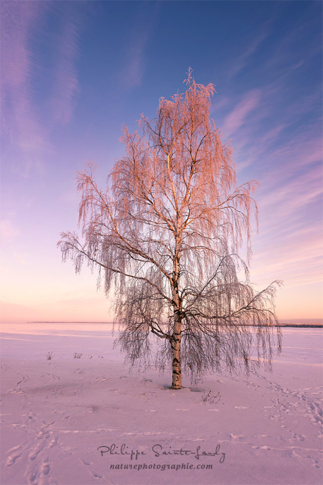 Ciel d'hiver à Oulu en Finlande
