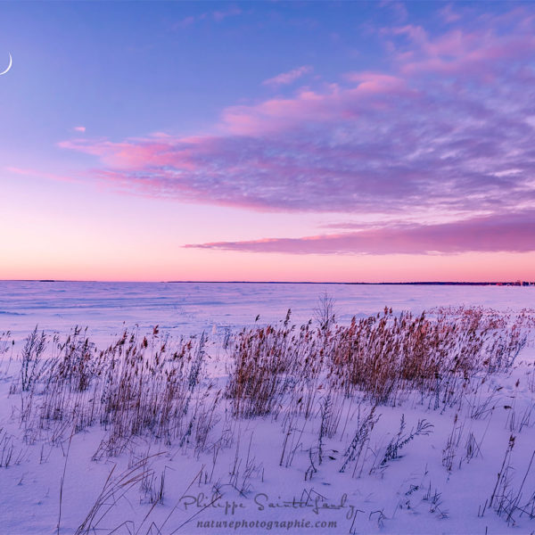 Field of Frost Levé du soleil en Finlande