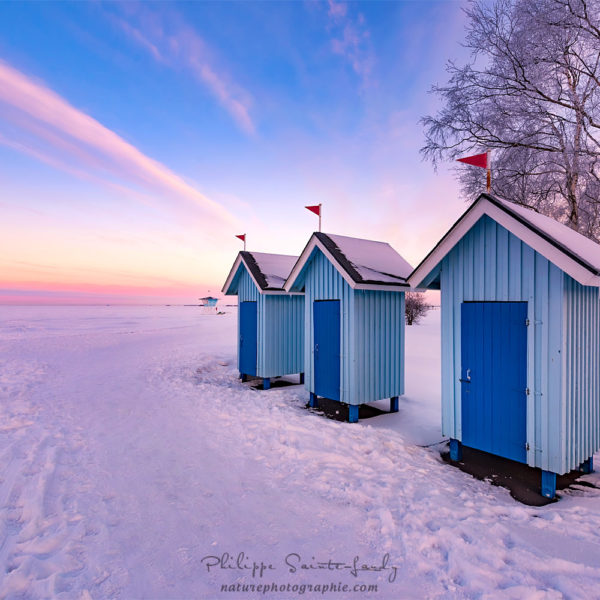 Frosty Morning