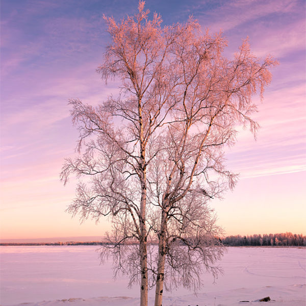 Hidden Gems Couleurs d'Oulu