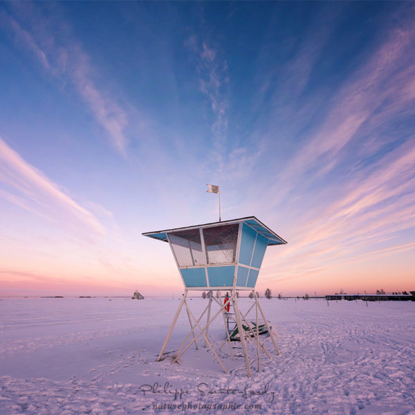 Icy Morning