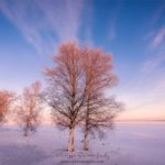 Un matin glacé à Oulu