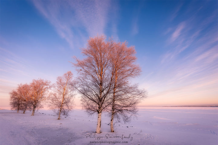 Un matin glacé à Oulu