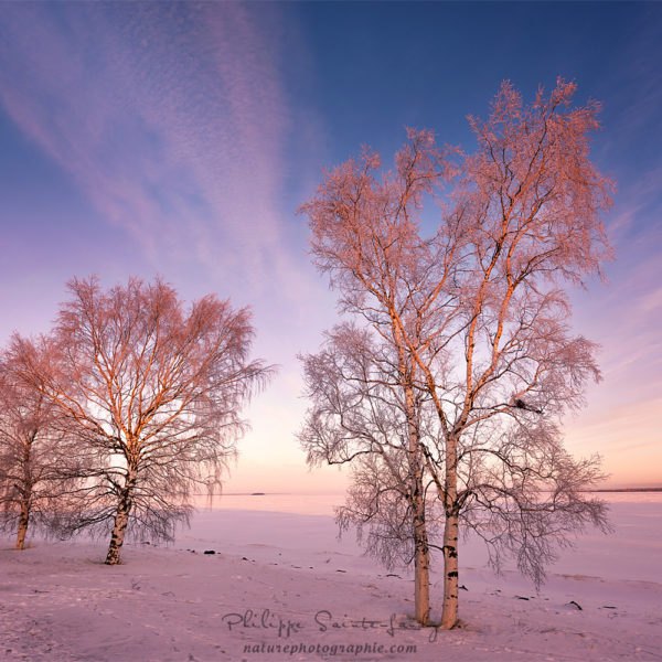 Place of Dreams Lever de soleil à Oulu