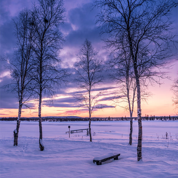 Sunset Mist
