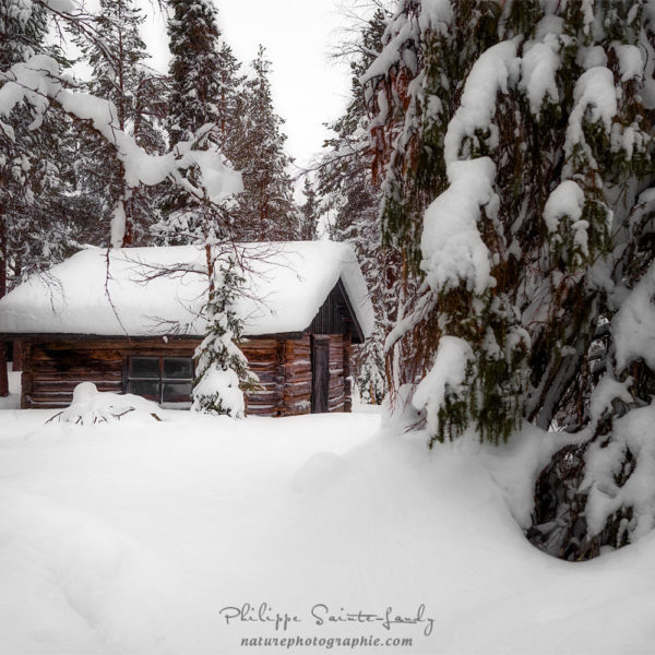 The Chalet Under the Snow