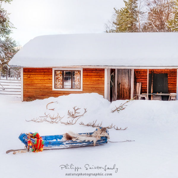 The Finnish Tradition