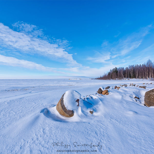 The Freezing Dawn