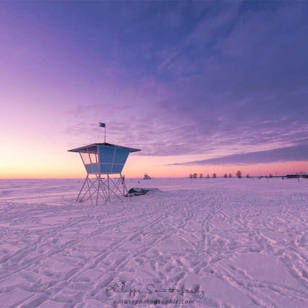 Watching the Sunrise Banquise à Oulu
