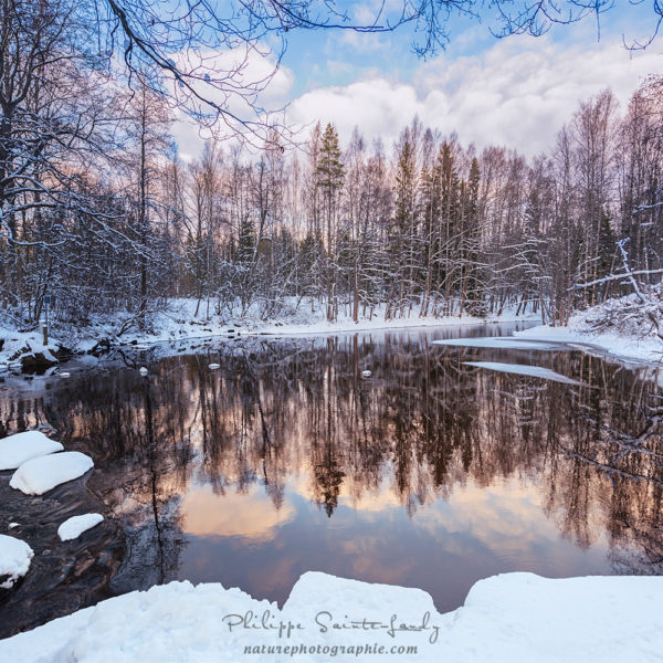 Winter Dawn