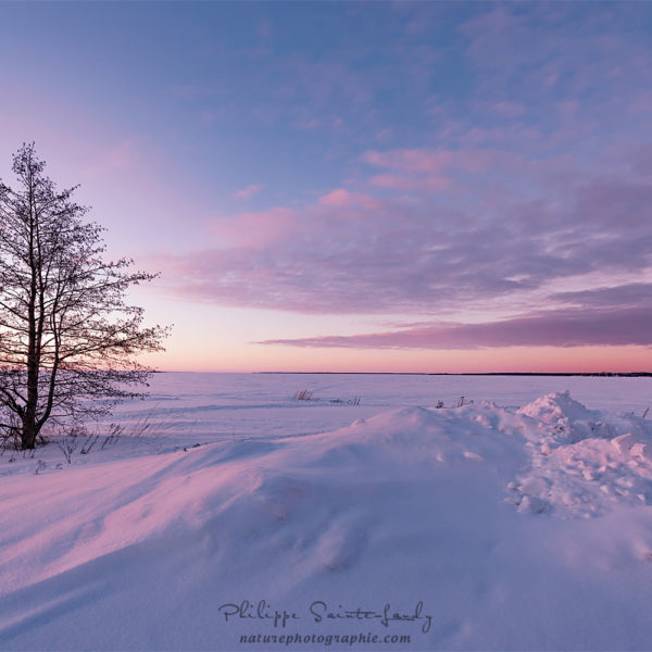 Winter Dreams