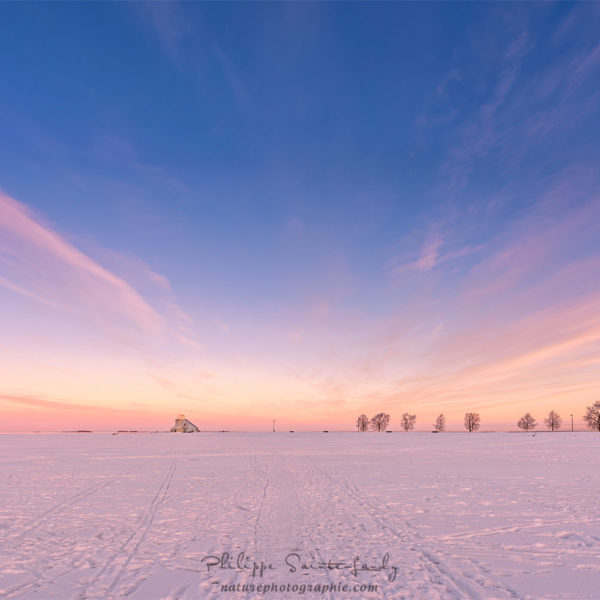 Winter Morning