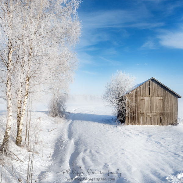 Below Zero Paysage de neige en Finlande