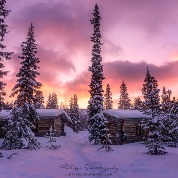 Fragile Dreams Cabanons et sapins au coucher du soleil - Finlande