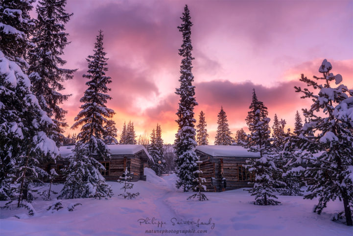 Cabanons et sapins au coucher du soleil - Finlande