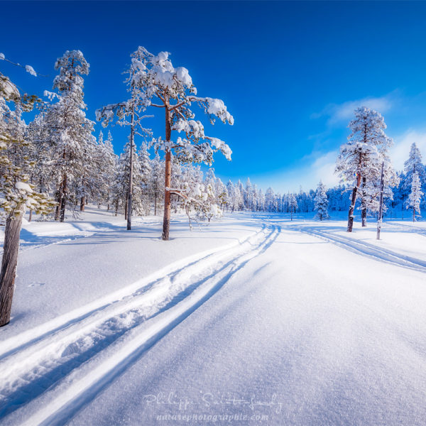 Frozen Exposure