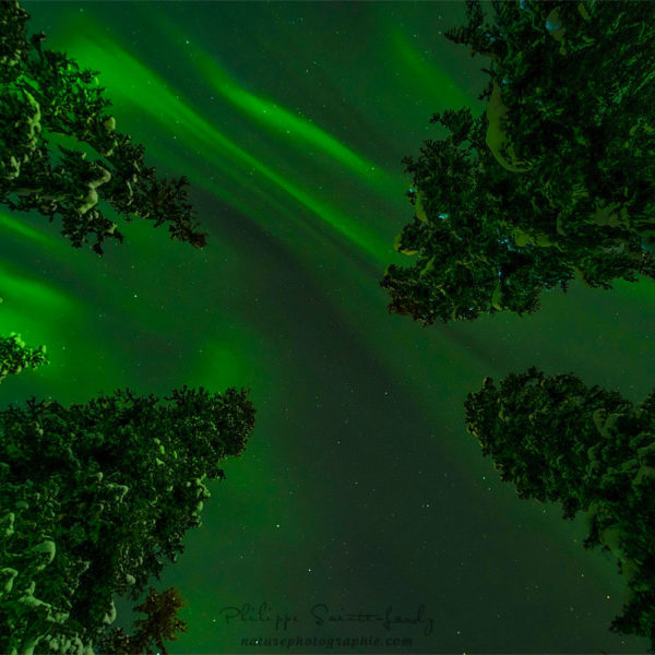 Message in the Sky Aurore boréale en Laponie