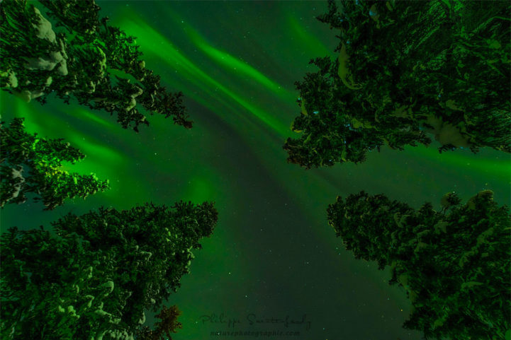 Aurore boréale en Laponie