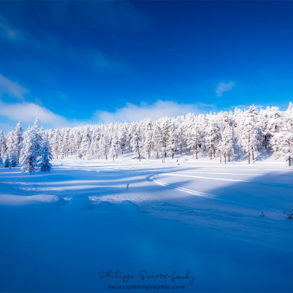 The blue of winter