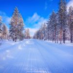 Forêt Finlandaise en hiver