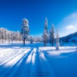 Champs de neige en Finlande