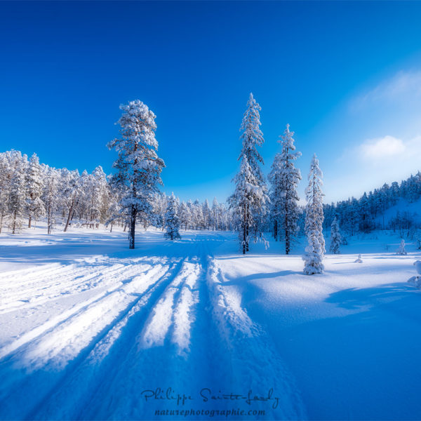 To enjoy the Silence Champs de neige en Finlande