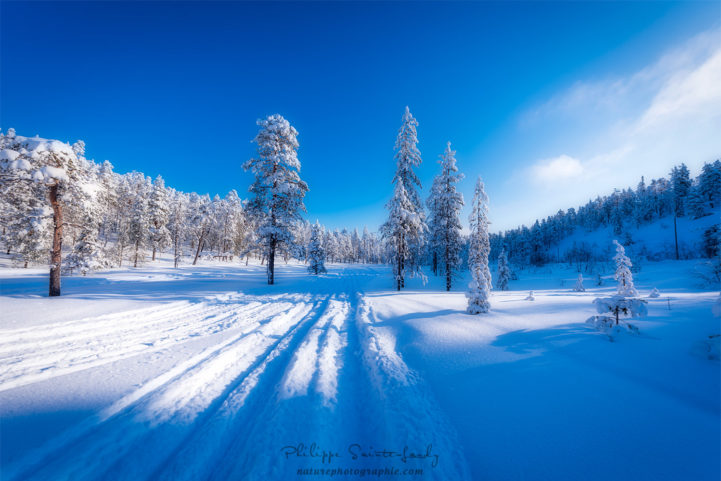 Champs de neige en Finlande