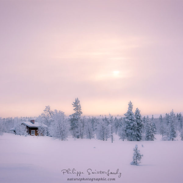 Unfocused Dreams
