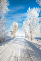 Paysage de Finlande avec une route enneigée