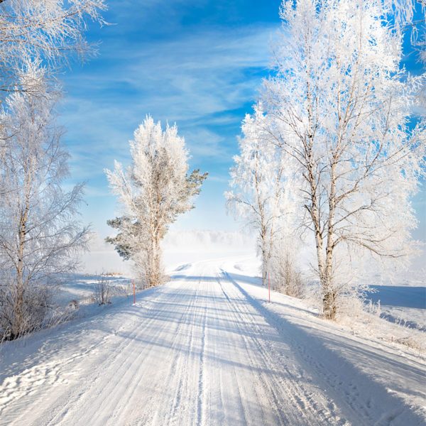 White Morning Paysage de Finlande avec une route enneigée
