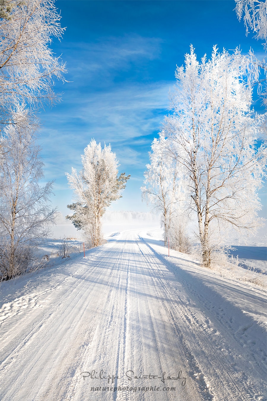 Paysage de Finlande avec une route enneigée