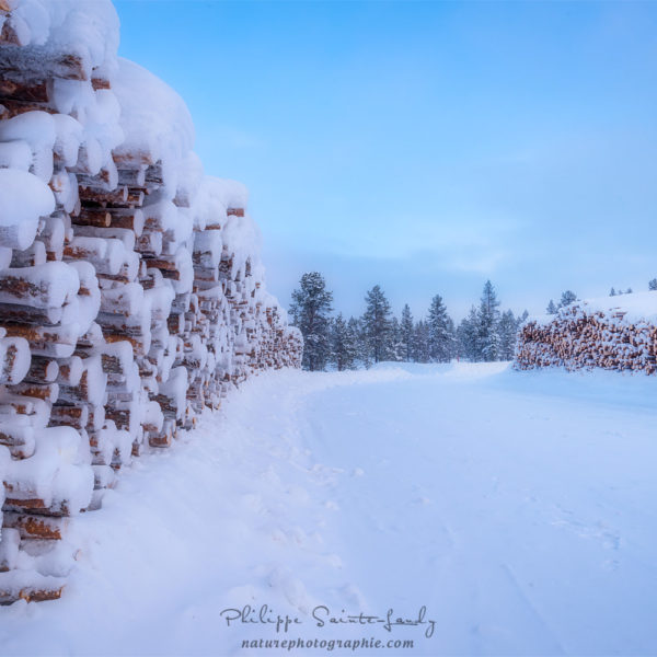 Wintermood