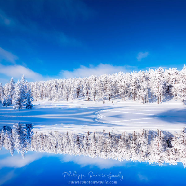 A Heart in the Snow