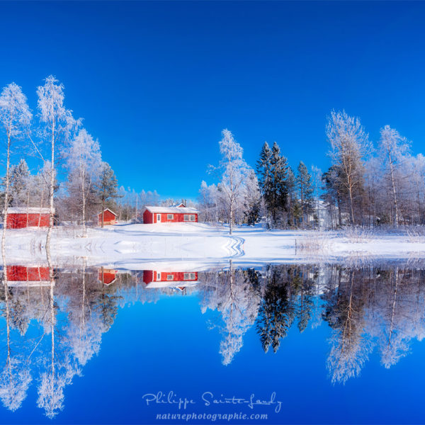 Blue Illusion
