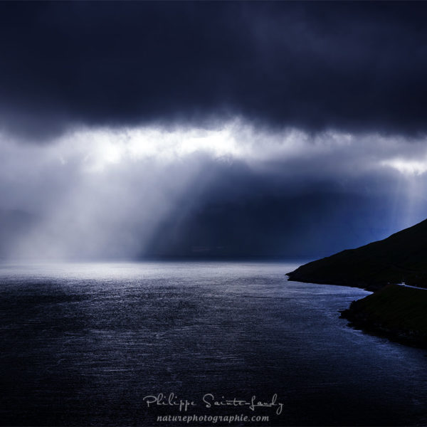 Caught In The Silence