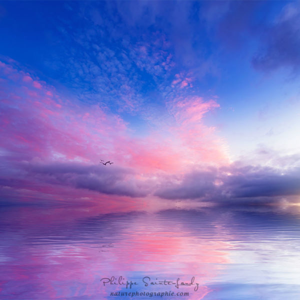 Close to Infinity Paysage marin onirique