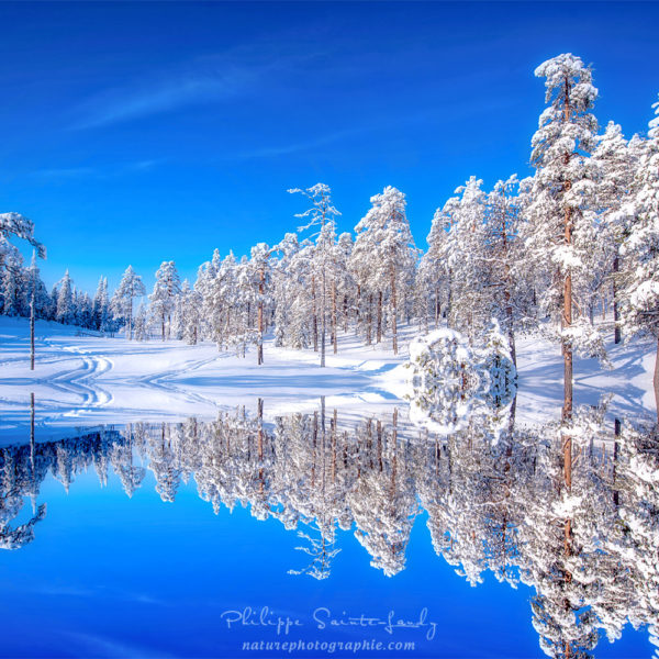 Double Blue