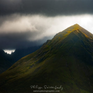 Light in the Darkness Light in the Darkness