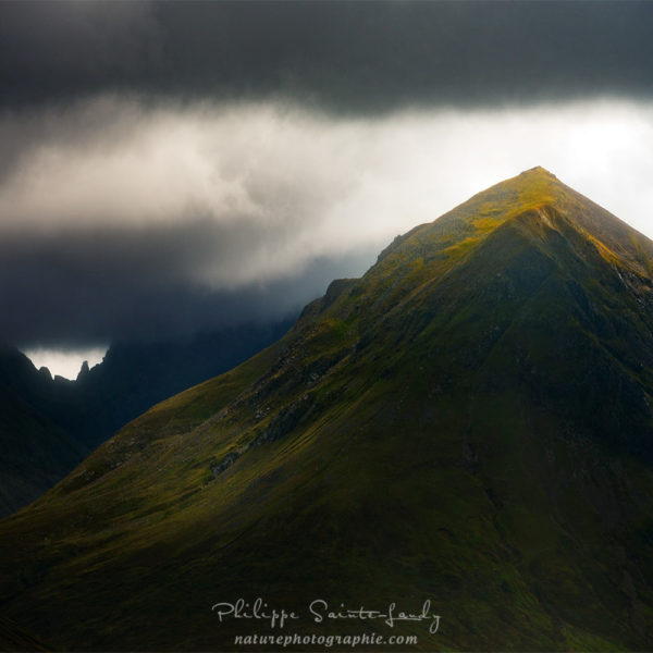 Light in the Darkness