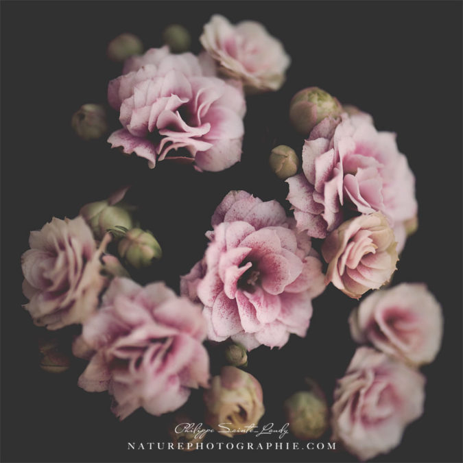 Nostalgia Bouquet