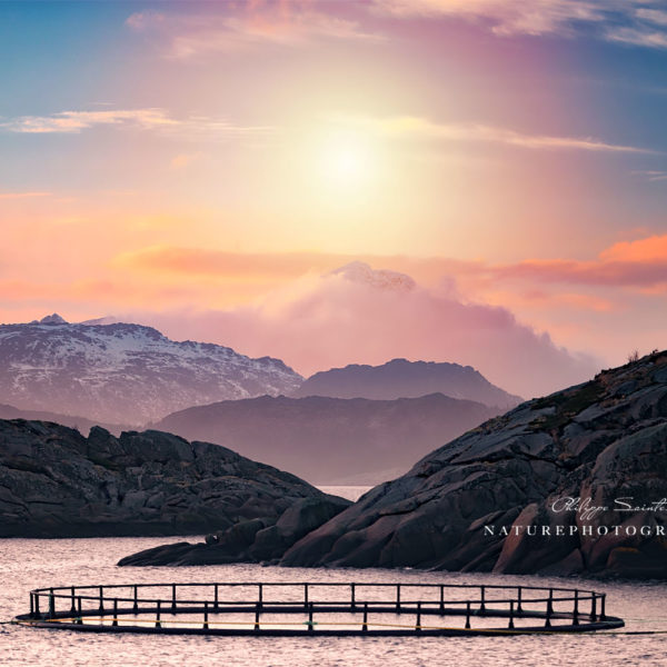 Witnessing The Death Of The Sun