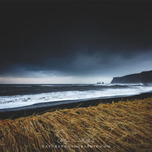 Evening to Remember Evening to Remember