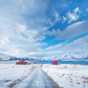 Paysage blanc de Norvège