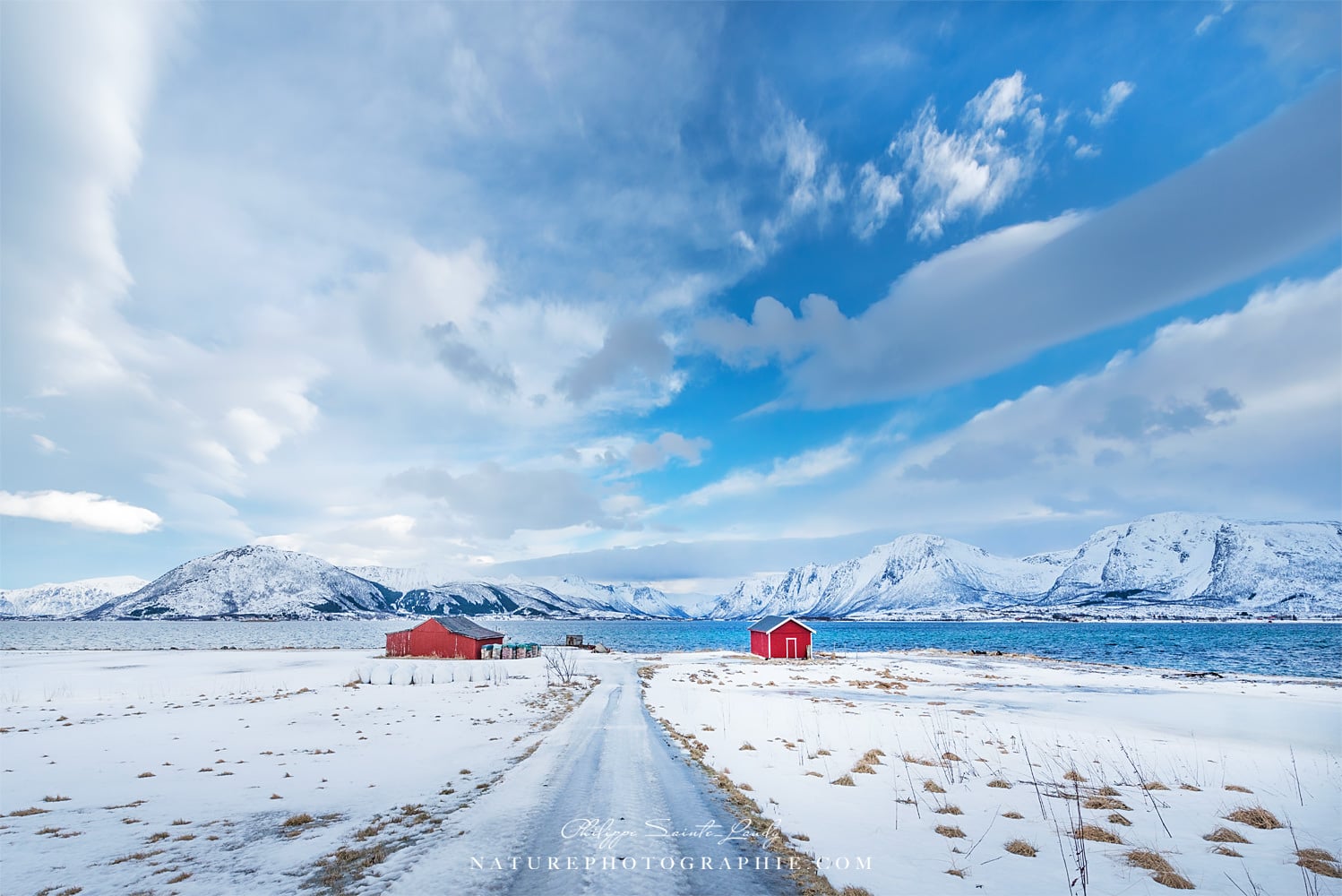 Paysage blanc de Norvège