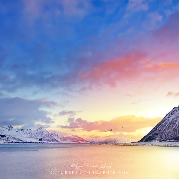 I’ve Seen the Light