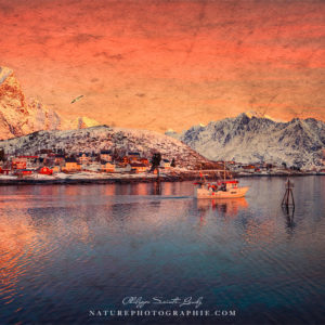 Reine Textured Reine Textured