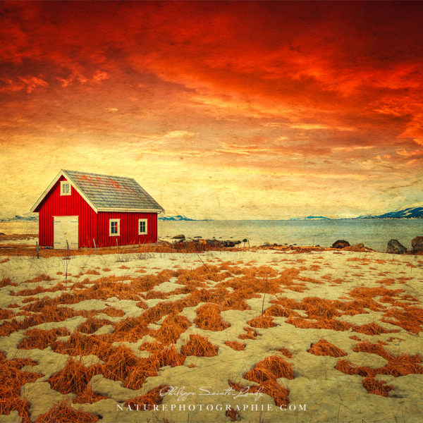 The Background World