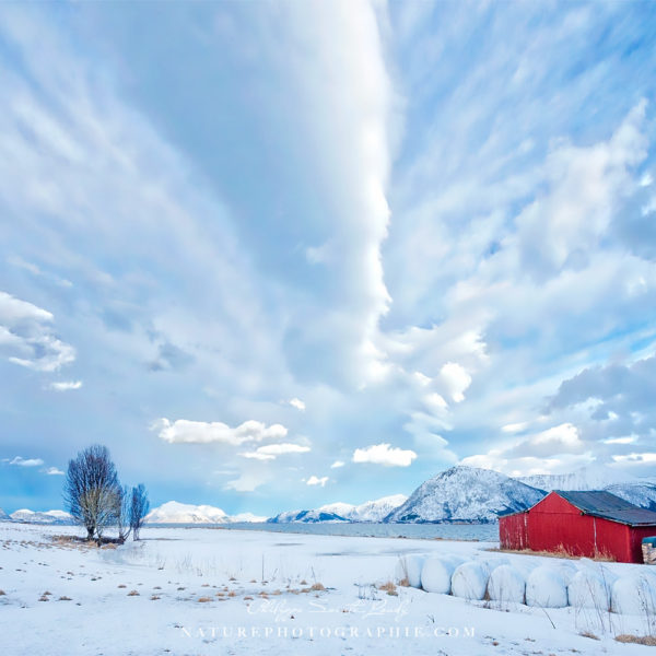 White Magic Paysage blanc de Norvège