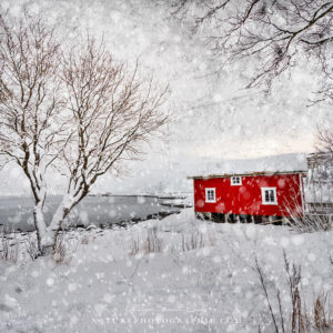 Winter Secret Winter Secret