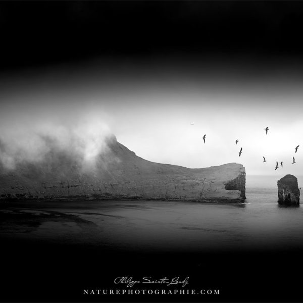 Too Late To Say Goodbye